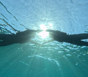 宮古島 ADVENTURE PiPi（ミヤコジマ アドベンチャー ピピ）に投稿された画像（2024/3/12）