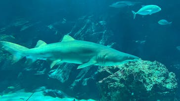 マリンワールド海の中道に投稿された画像（2024/3/12）