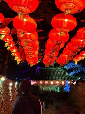 体験王国 むら咲むらに投稿された画像（2024/3/12）