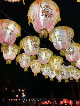 体験王国 むら咲むらに投稿された画像（2024/3/12）