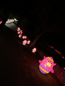 体験王国 むら咲むらに投稿された画像（2024/3/12）