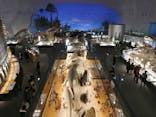 福井県立恐竜博物館に投稿された画像（2024/3/12）