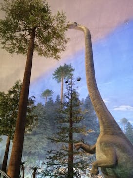 福井県立恐竜博物館に投稿された画像（2024/3/12）