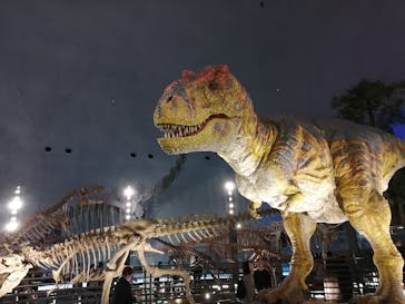 福井県立恐竜博物館に投稿された画像（2024/3/12）