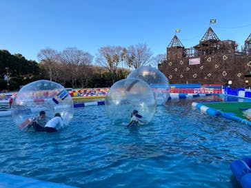 伊豆ぐらんぱる公園に投稿された画像（2024/3/12）