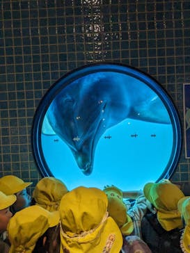 京都鉄道博物館×京都水族館に投稿された画像（2024/3/12）