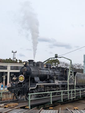 京都鉄道博物館×京都水族館に投稿された画像（2024/3/12）