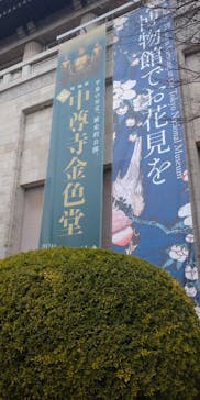 建立900年　特別展「中尊寺金色堂」に投稿された画像（2024/3/12）