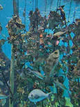 仙台うみの杜水族館に投稿された画像（2024/3/13）