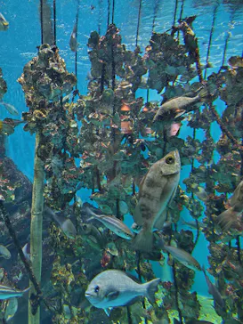 仙台うみの杜水族館に投稿された画像（2024/3/12）