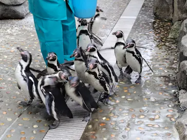仙台うみの杜水族館に投稿された画像（2024/3/12）