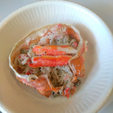 ご当地よいどれ市2024に投稿された画像（2024/3/12）