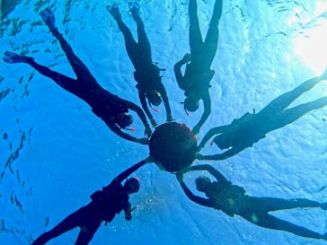 宮古島 ADVENTURE PiPi（ミヤコジマ アドベンチャー ピピ）に投稿された画像（2024/3/13）