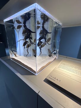 AOAO SAPPOROに投稿された画像（2024/3/13）