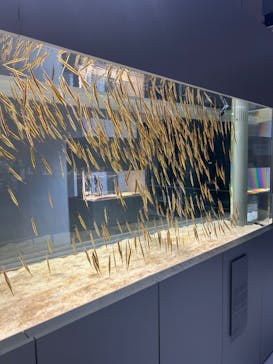 AOAO SAPPOROに投稿された画像（2024/3/13）