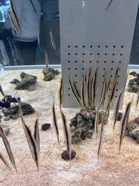 AOAO SAPPOROに投稿された画像（2024/3/13）