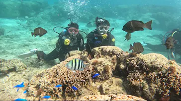 武藤潜水に投稿された画像（2024/3/13）