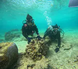 沖縄マリンサービス碧に投稿された画像（2024/3/13）