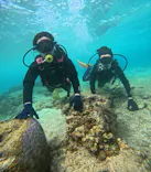 沖縄マリンサービス碧に投稿された画像（2024/3/13）