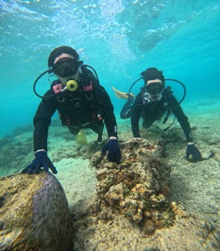 沖縄マリンサービス碧に投稿された画像（2024/3/13）