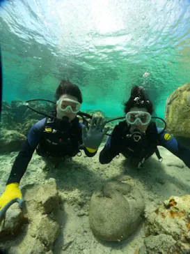 武藤潜水に投稿された画像（2024/3/13）