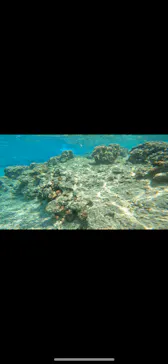 武藤潜水に投稿された画像（2024/3/13）