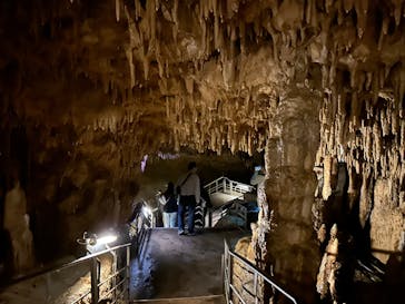 おきなわワールドに投稿された画像（2024/3/13）