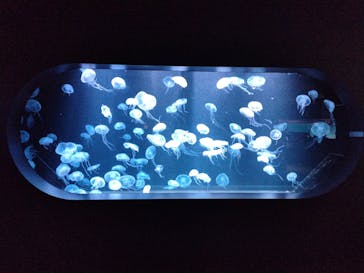 AOAO SAPPOROに投稿された画像（2024/3/13）