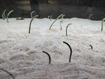 AOAO SAPPOROに投稿された画像（2024/3/13）