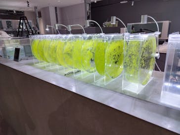 AOAO SAPPOROに投稿された画像（2024/3/13）