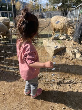 神戸どうぶつ王国に投稿された画像（2024/3/13）