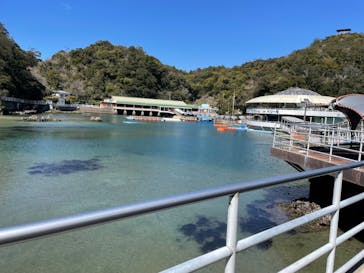 下田海中水族館に投稿された画像（2024/3/13）