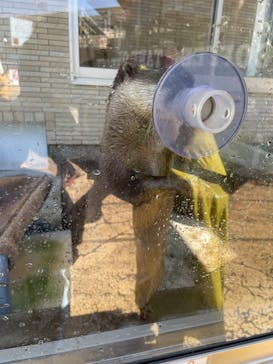 下田海中水族館に投稿された画像（2024/3/13）