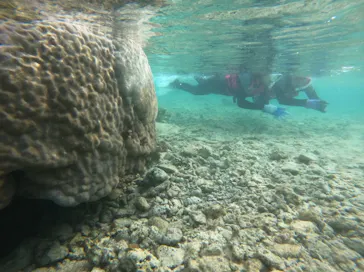 武藤潜水に投稿された画像（2024/3/13）