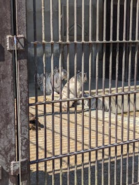 宇都宮動物園に投稿された画像（2024/3/13）