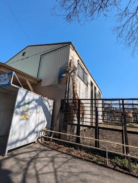 宇都宮動物園に投稿された画像（2024/3/13）