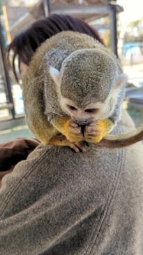 宇都宮動物園に投稿された画像（2024/3/13）