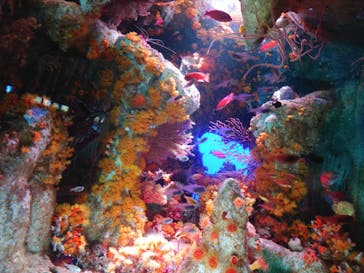 サンシャイン水族館に投稿された画像（2024/3/13）