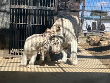 宇都宮動物園に投稿された画像（2024/3/13）