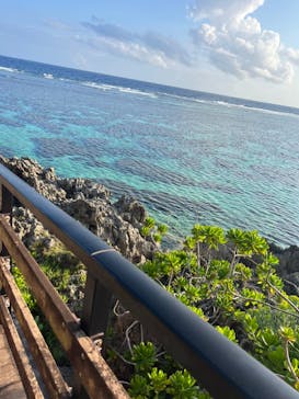 宮古島 ADVENTURE PiPi（ミヤコジマ アドベンチャー ピピ）に投稿された画像（2024/3/13）