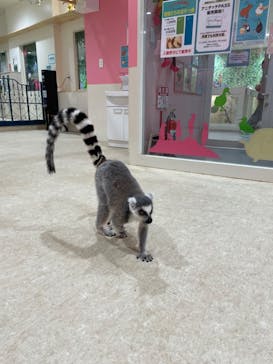 アニタッチアクアシティお台場に投稿された画像（2024/3/13）