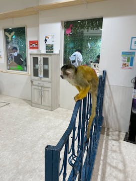 アニタッチアクアシティお台場に投稿された画像（2024/3/13）