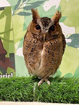 アニタッチアクアシティお台場に投稿された画像（2024/3/13）