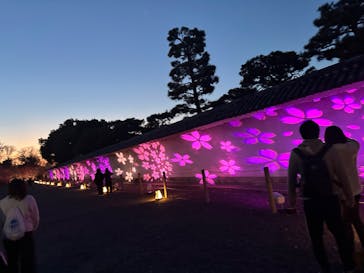 NAKED meets 二条城 2025 観月に投稿された画像（2024/3/13）