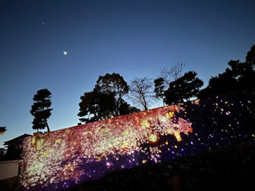 NAKED meets 二条城 2025 観月に投稿された画像（2024/3/13）