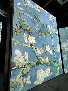 ゴッホ・アライブに投稿された画像（2024/3/13）