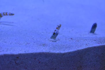 マリンワールド海の中道に投稿された画像（2024/3/13）