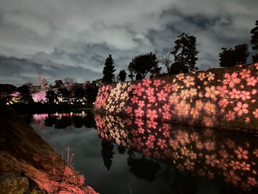 NAKED meets 二条城 2025 観月に投稿された画像（2024/3/13）