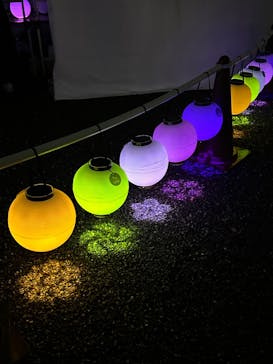 NAKED meets 二条城 2025 観月に投稿された画像（2024/3/13）