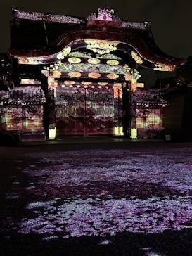 NAKED meets 二条城 2025 観月に投稿された画像（2024/3/13）